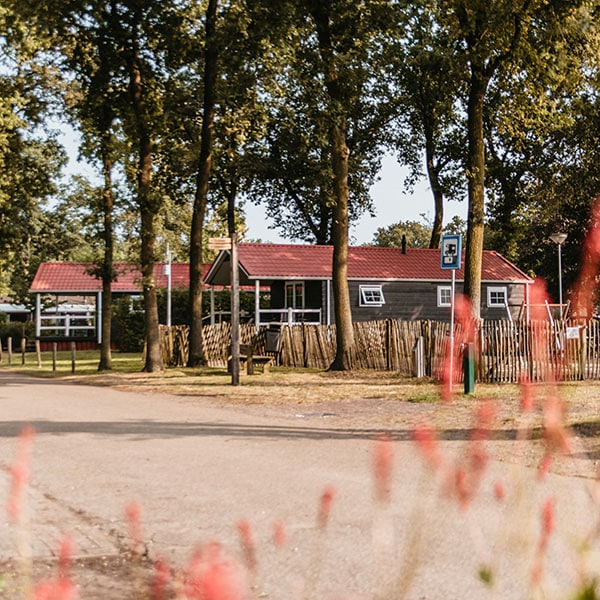 heische tip jaarplaatsen camping